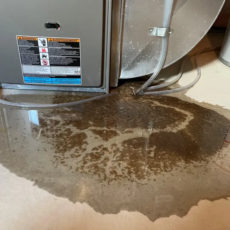 Appliance Leak Cleanup in Madison, IN